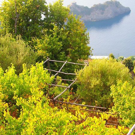 Ferienwohnung Giardino Sul Mare Amalfi Exterior foto