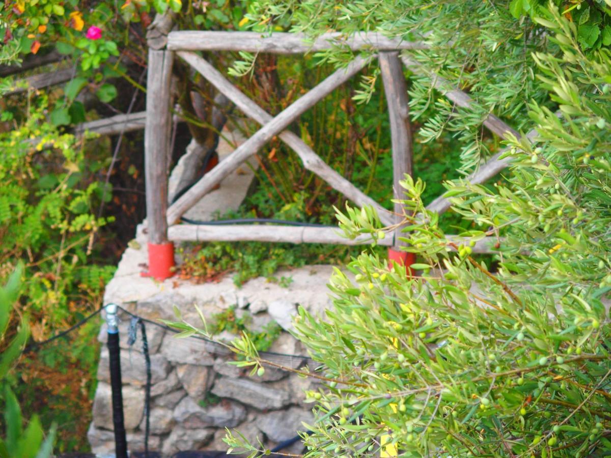 Ferienwohnung Giardino Sul Mare Amalfi Exterior foto