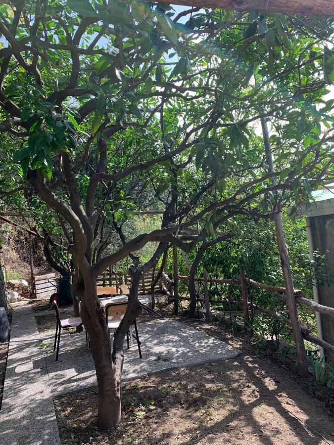 Ferienwohnung Giardino Sul Mare Amalfi Exterior foto