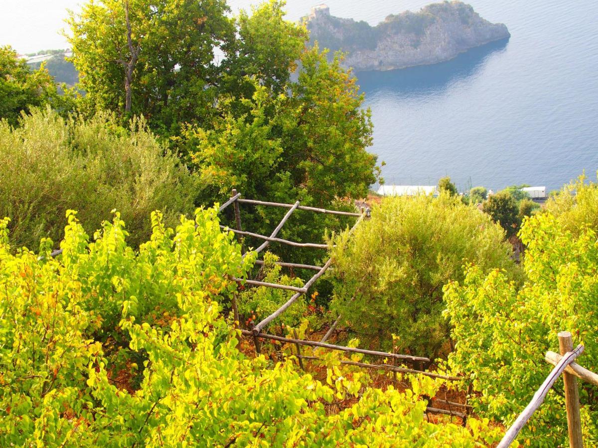 Ferienwohnung Giardino Sul Mare Amalfi Exterior foto