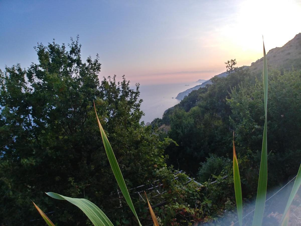 Ferienwohnung Giardino Sul Mare Amalfi Exterior foto